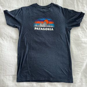 Patagonia graphic tshirt